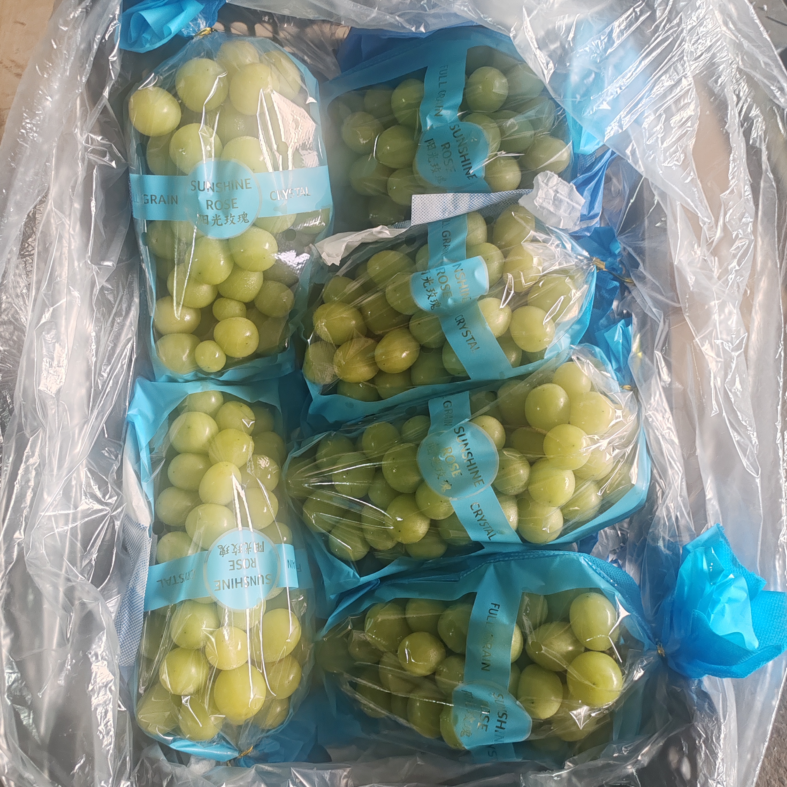 阳光玫瑰丨山东阳光玫瑰葡萄果肉脆嫩无籽香甜可口500g（按需购买）
