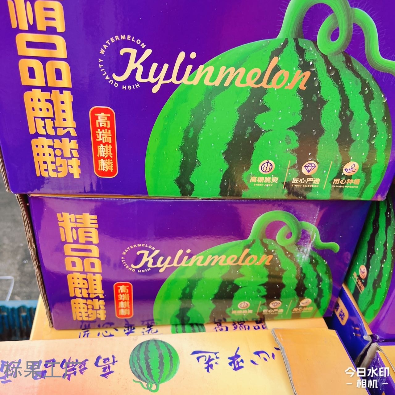 麒麟西瓜丨海南无籽麒麟西瓜皮薄瓤红甜度爆表500g（按需购买）
