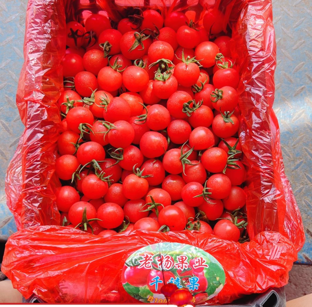 圣女果丨山东千禧樱桃小番茄圆润饱满口感丰富500g（按需购买）