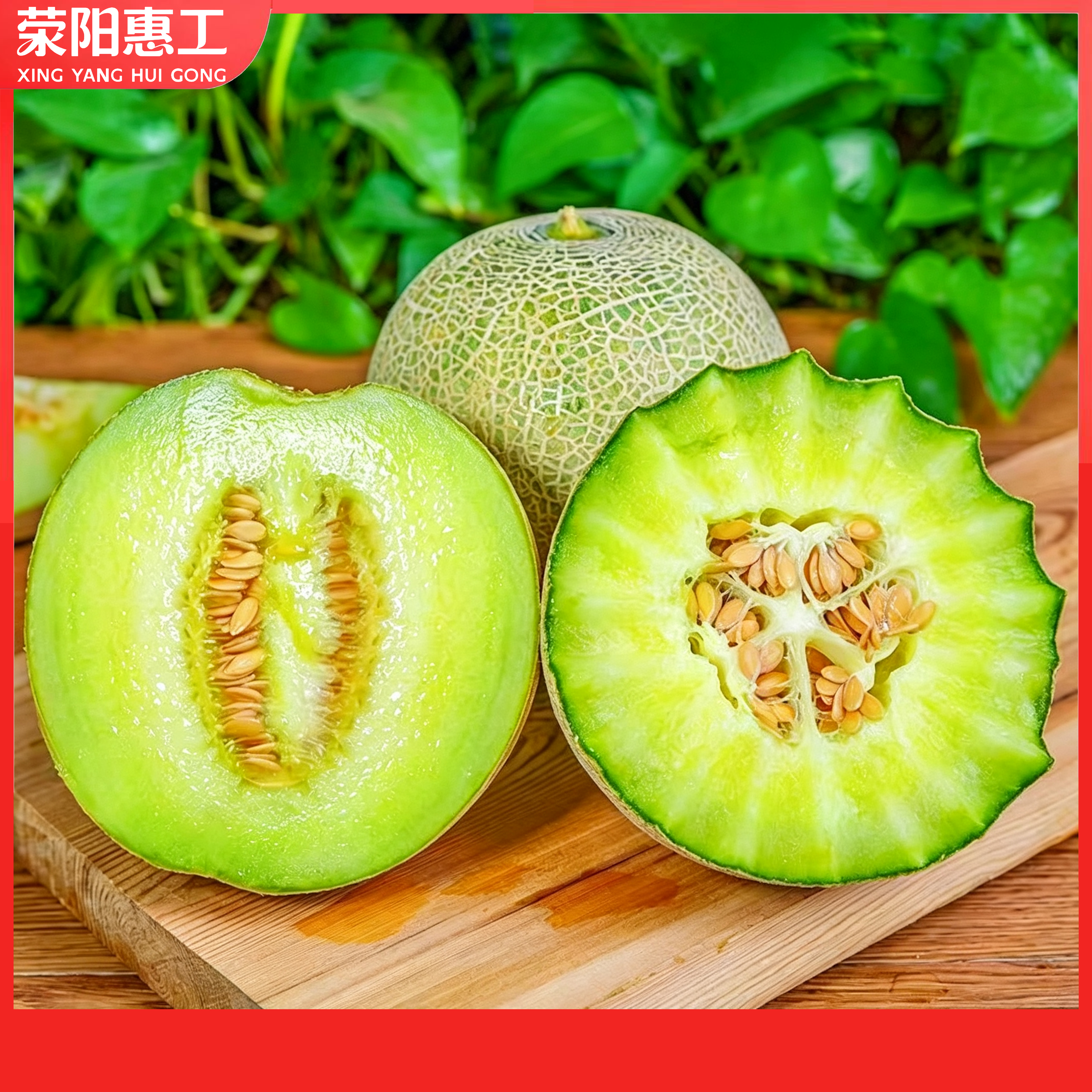 网纹蜜瓜丨内蒙古网纹蜜瓜果肉肥厚，香甜可口3.68/斤（按个售卖，单个约3-4斤）