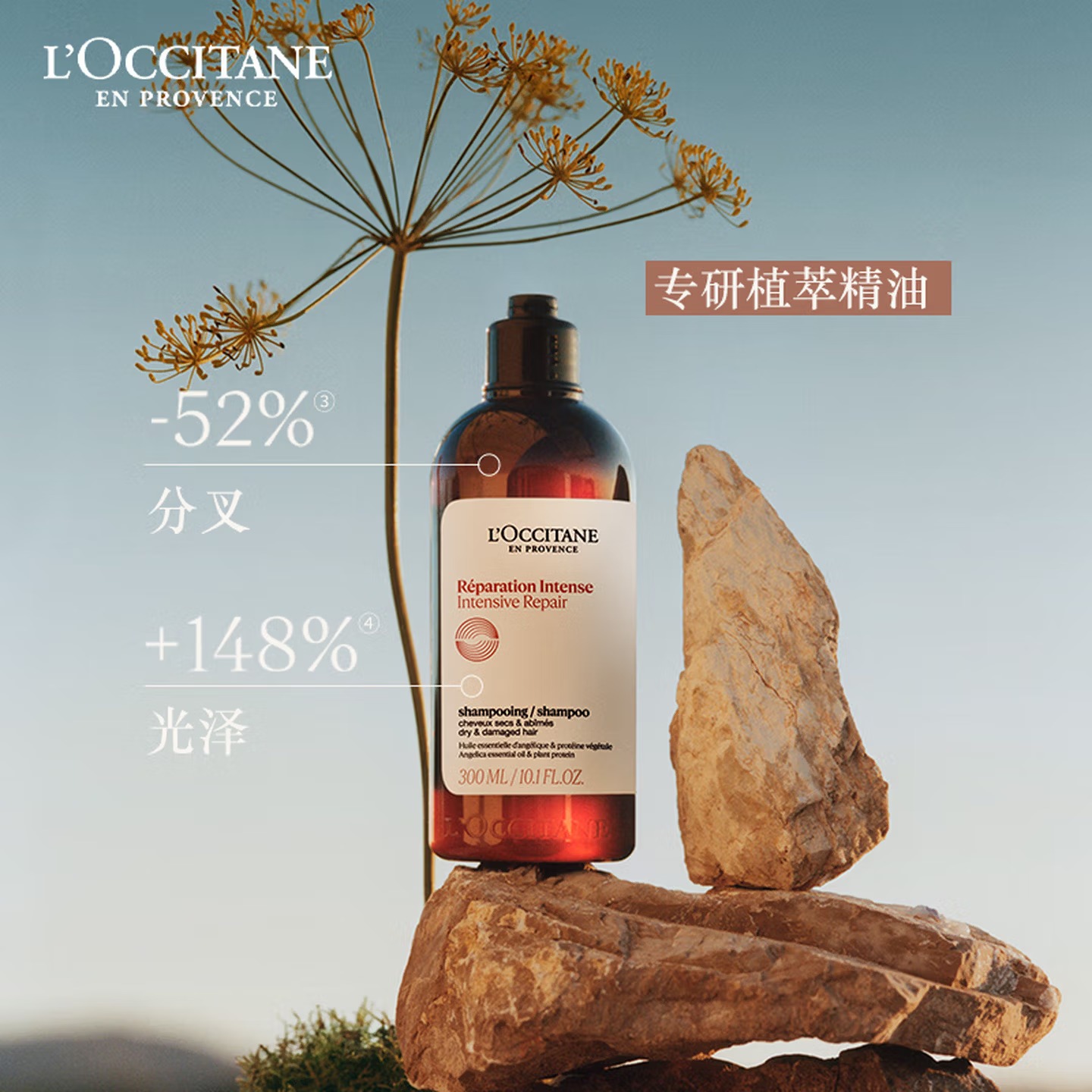 欧舒丹 | 五合一草本香菁纯臻萃焕活洗发露 | 300 ML CN