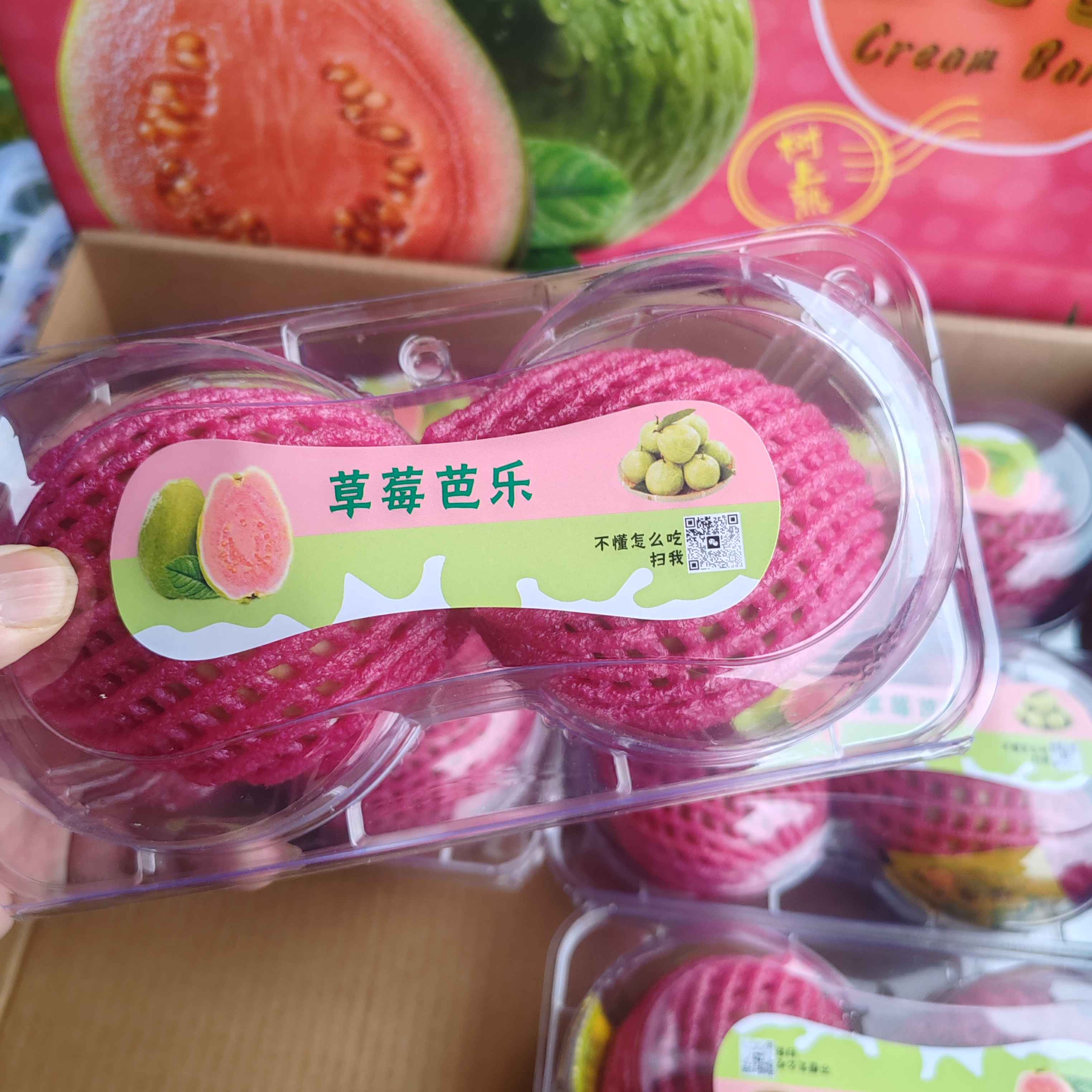 拼团特惠丨红心芭乐大果富含维C低糖迪卡7成熟9.9/盒