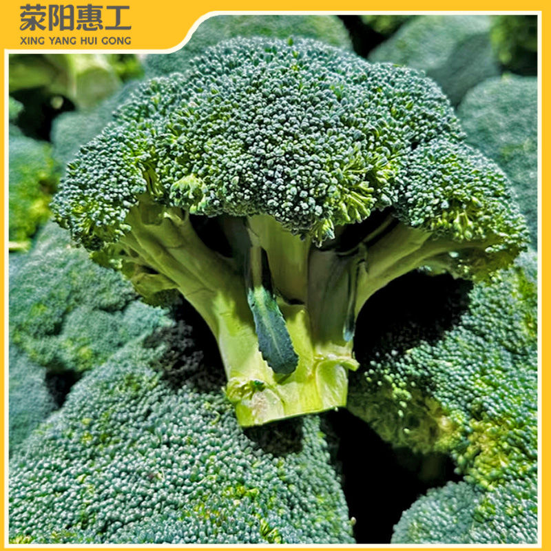 特惠拼团|宁夏银川西蓝花细籽脆爽不柴 高膳食纤维20元/5斤