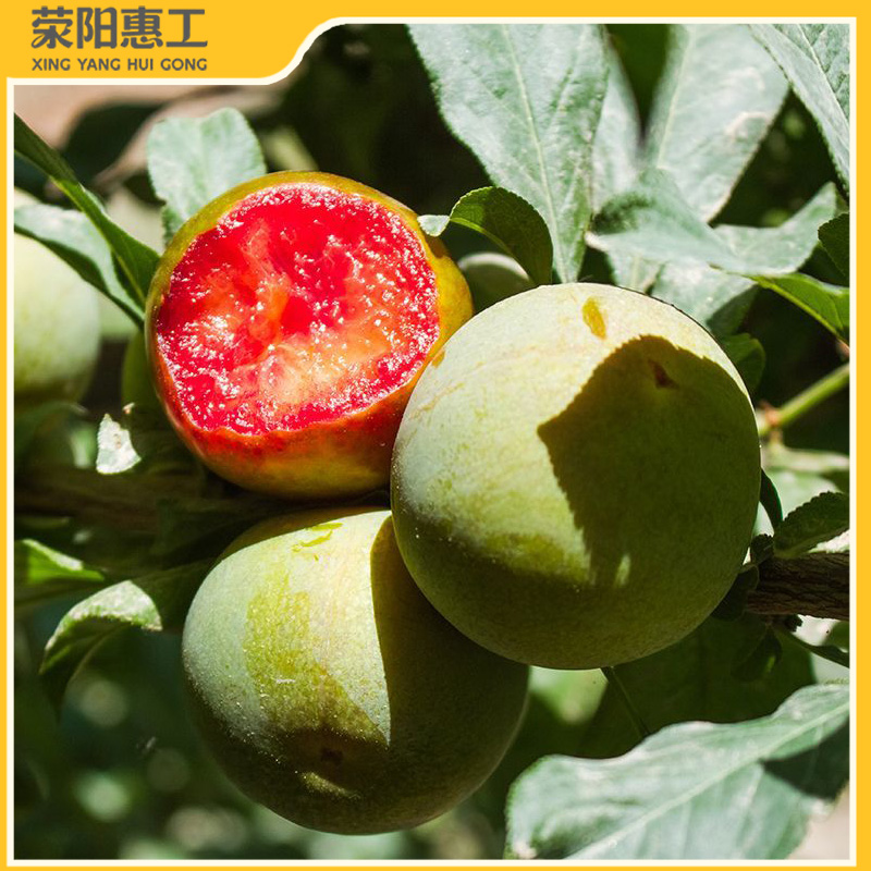 特惠拼团|新疆味帝李小果汁水充盈 带皮微酸17元/框