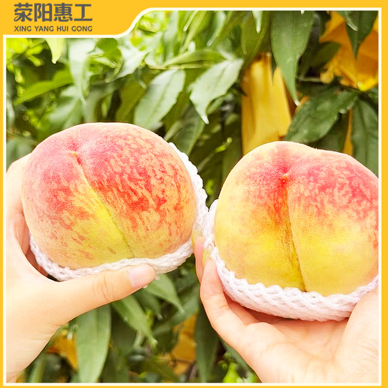 特惠拼团|万邦花果山牌江苏阳山水蜜桃大果果肉奶白细腻 桃香清雅蜜甜27.8元/箱