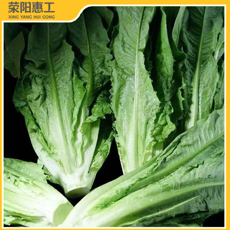 特惠拼团|云南油麦菜叶片翠绿鲜亮 菜杆脆嫩25.5元/箱