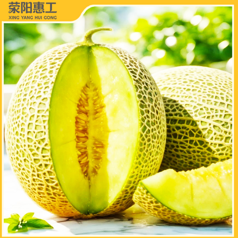 特惠拼团|山东牛三网纹蜜瓜礼盒 脆甜多汁 清爽解腻65.7元/箱