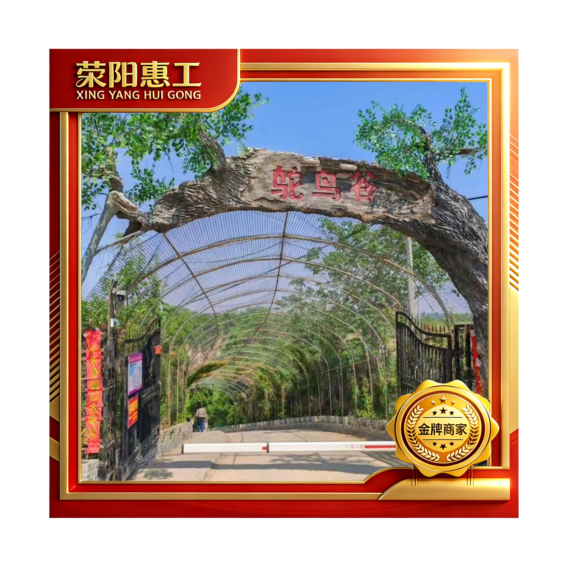 鸵鸟谷