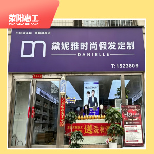 黛妮雅时尚假发