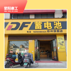 骆驼DF蓄电池